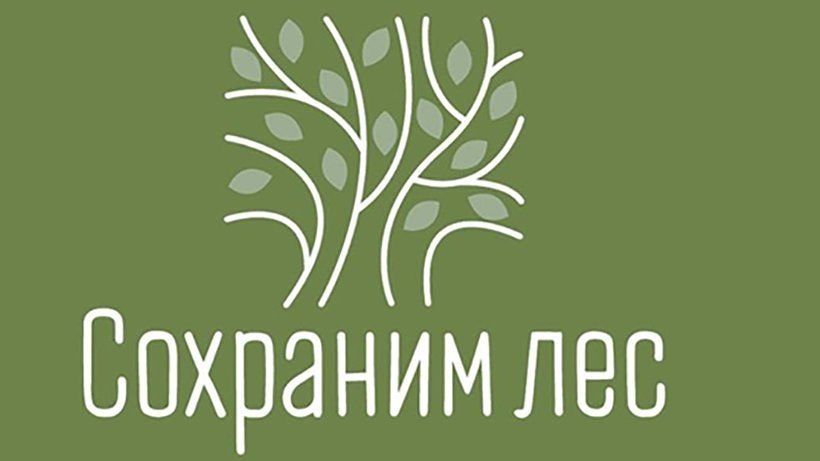 В Архангельской области в 2020 году в рамках кампании высадили 1,4 млн деревьев