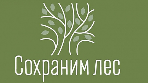 В Архангельской области в 2020 году в рамках кампании высадили 1,4 млн деревьев
